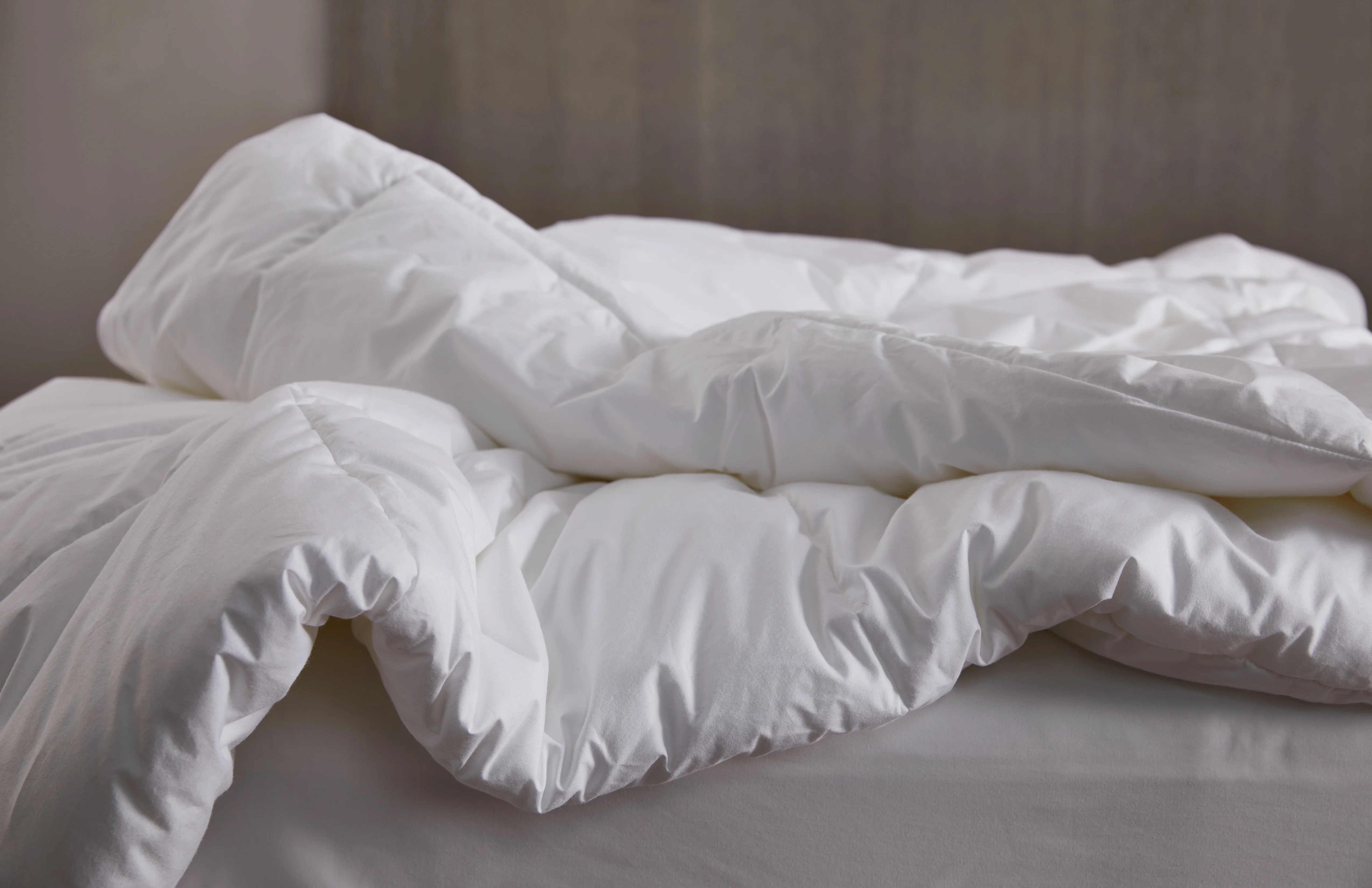 Down Alternative Comforter - Image 3